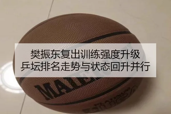 樊振东复出训练强度升级 乒坛排名走势与状态回升并行